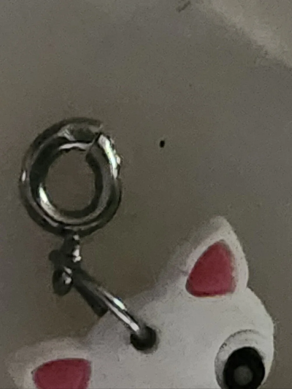 Cat Charm